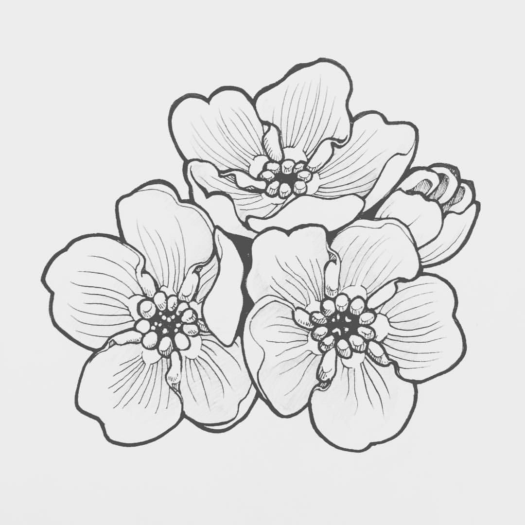 Цветы раскраска для детей