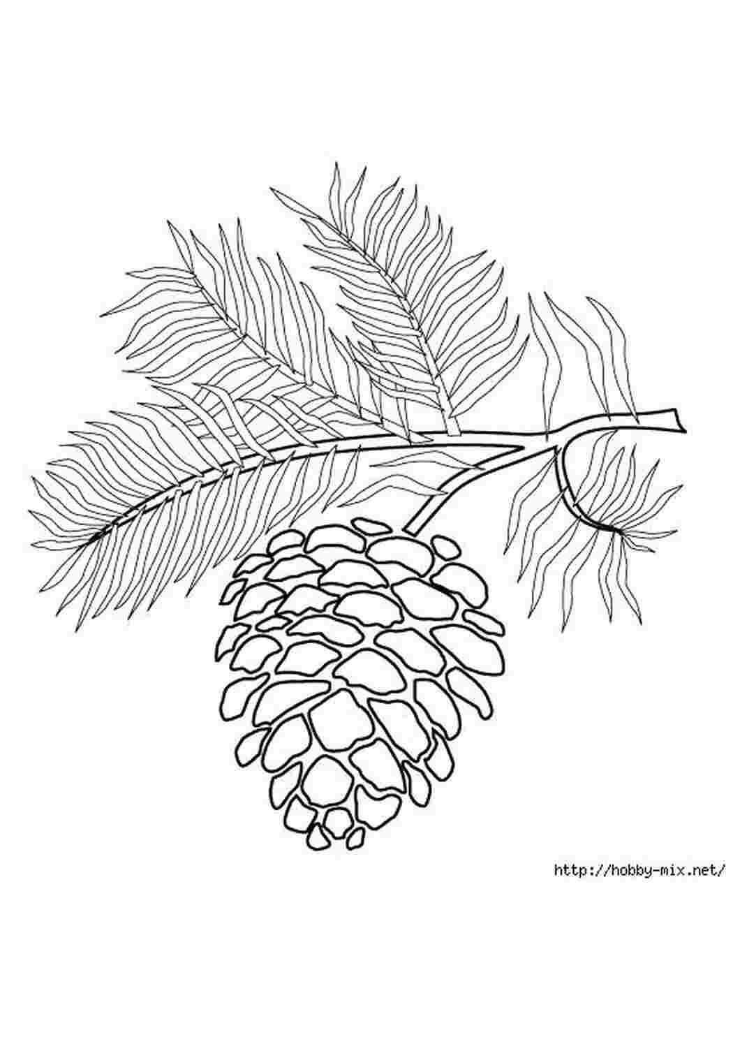 Трафареты листиков для цветов