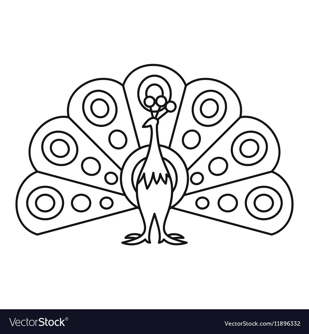 Павлин для детей средней группы