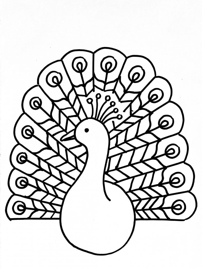 Павлин для раскрашивания