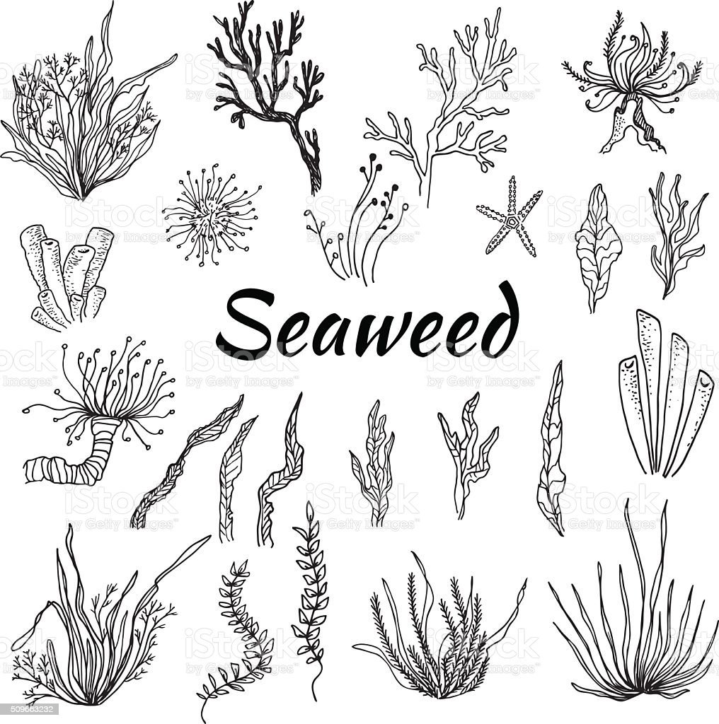 Татуировка морские водоросли