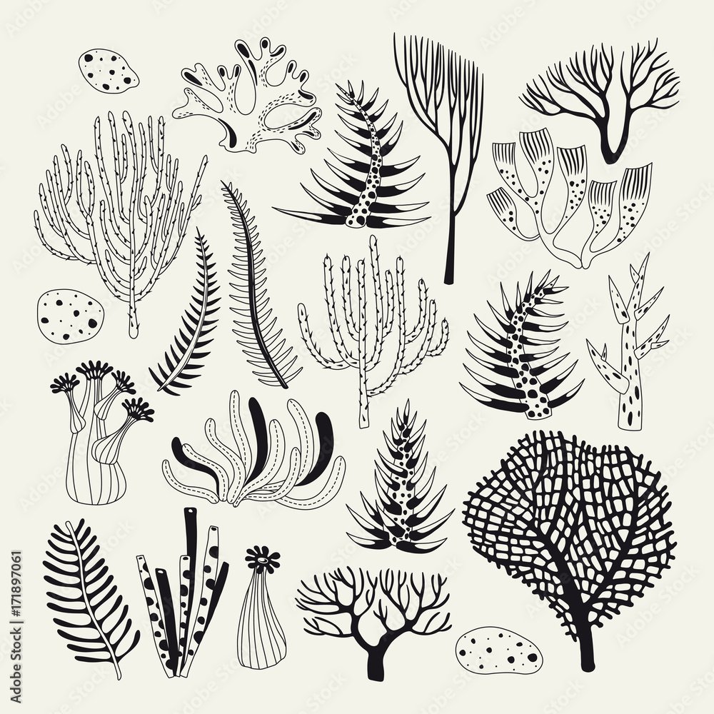 Аквариумные водоросли раскраска