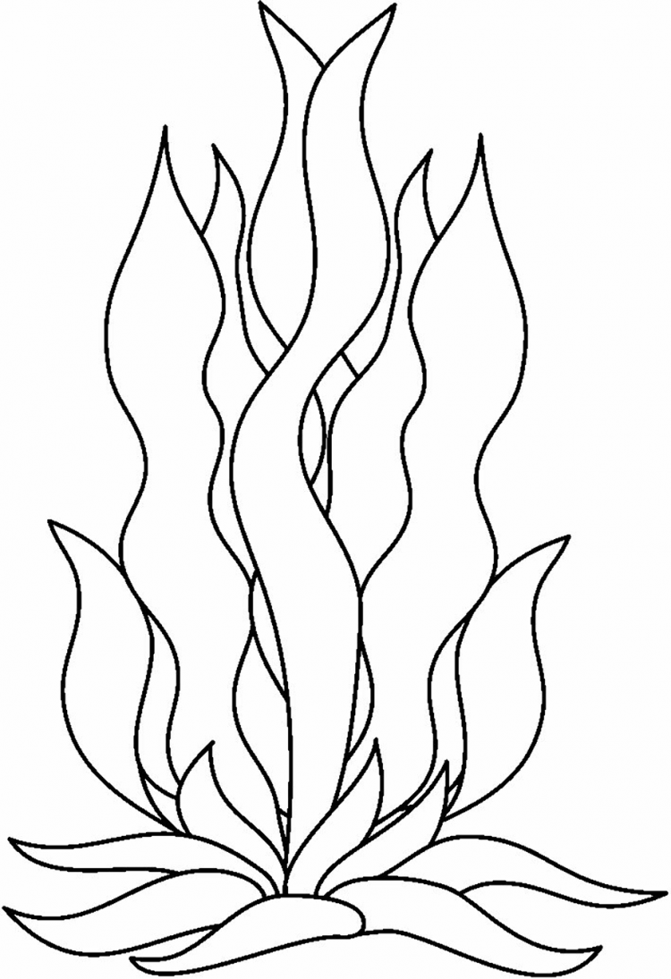 Морские водоросли раскраска для детей