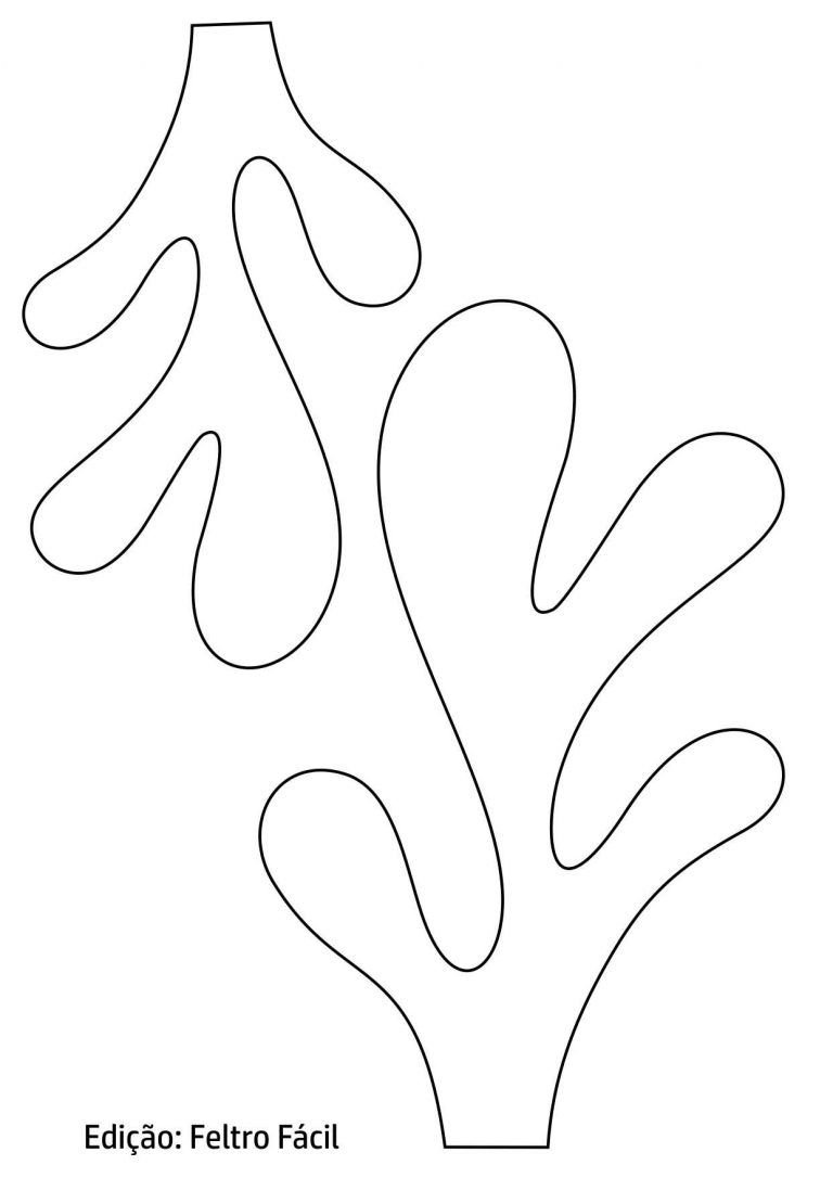 Водоросли чб