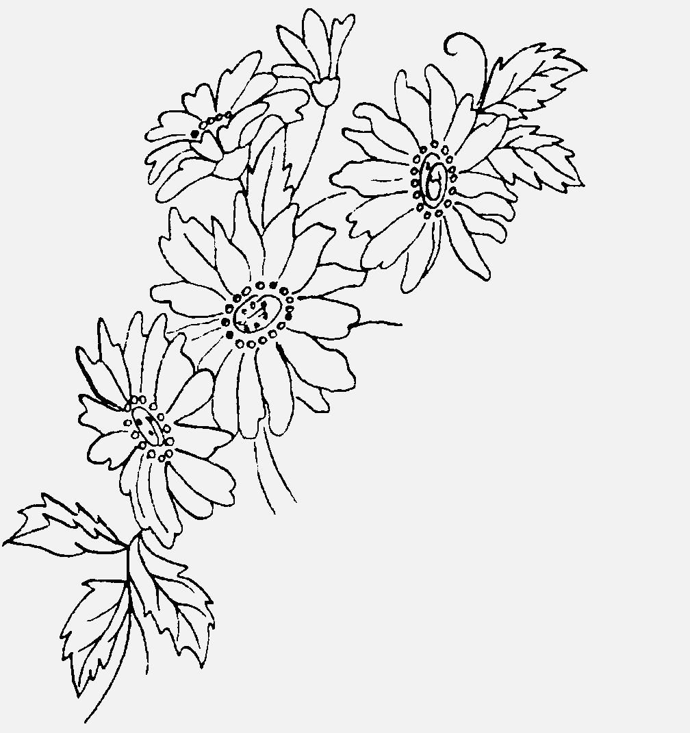 Орнамент для вышивки гладью