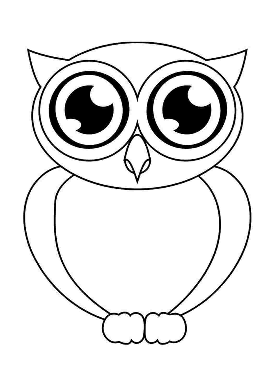 Раскраска Совушка