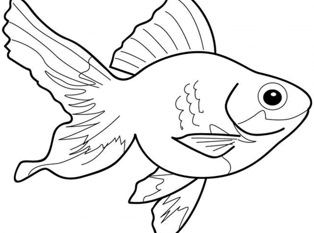 Рыба раскраска для детей