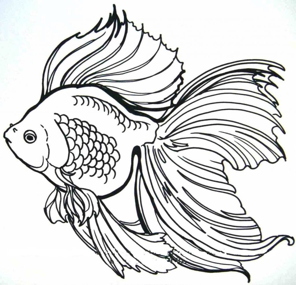 Рыбка раскраска для детей