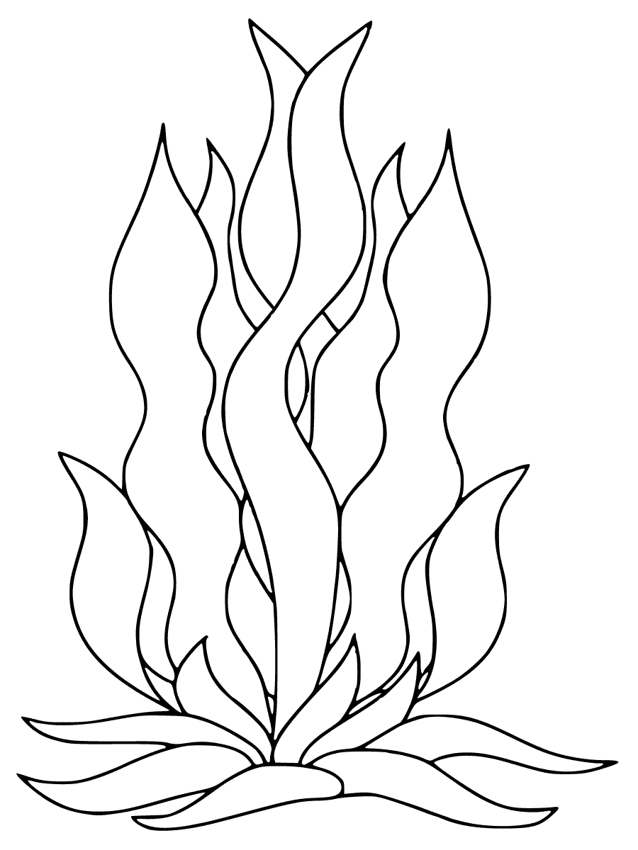 Раскраска морские водоросли