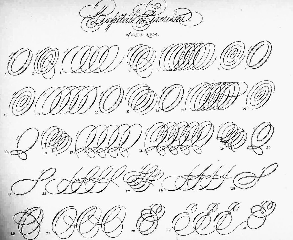 Упражнения для каллиграфического почерка пером