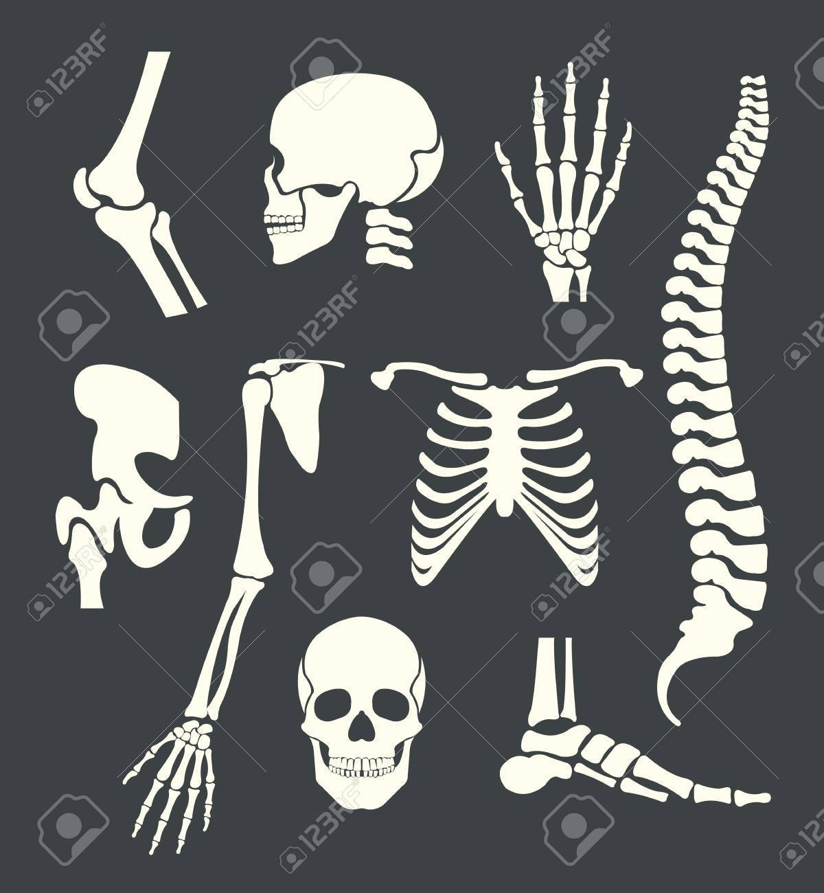 Скелет из бумаги на Хэллоуин