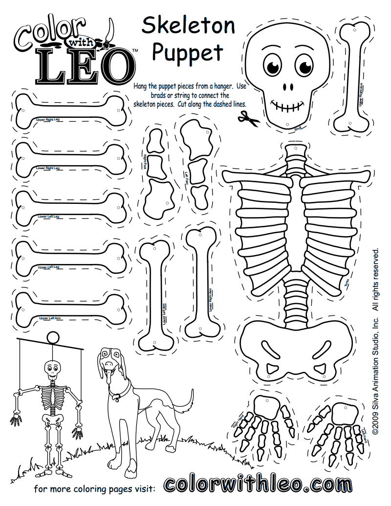 Череп для срисовки