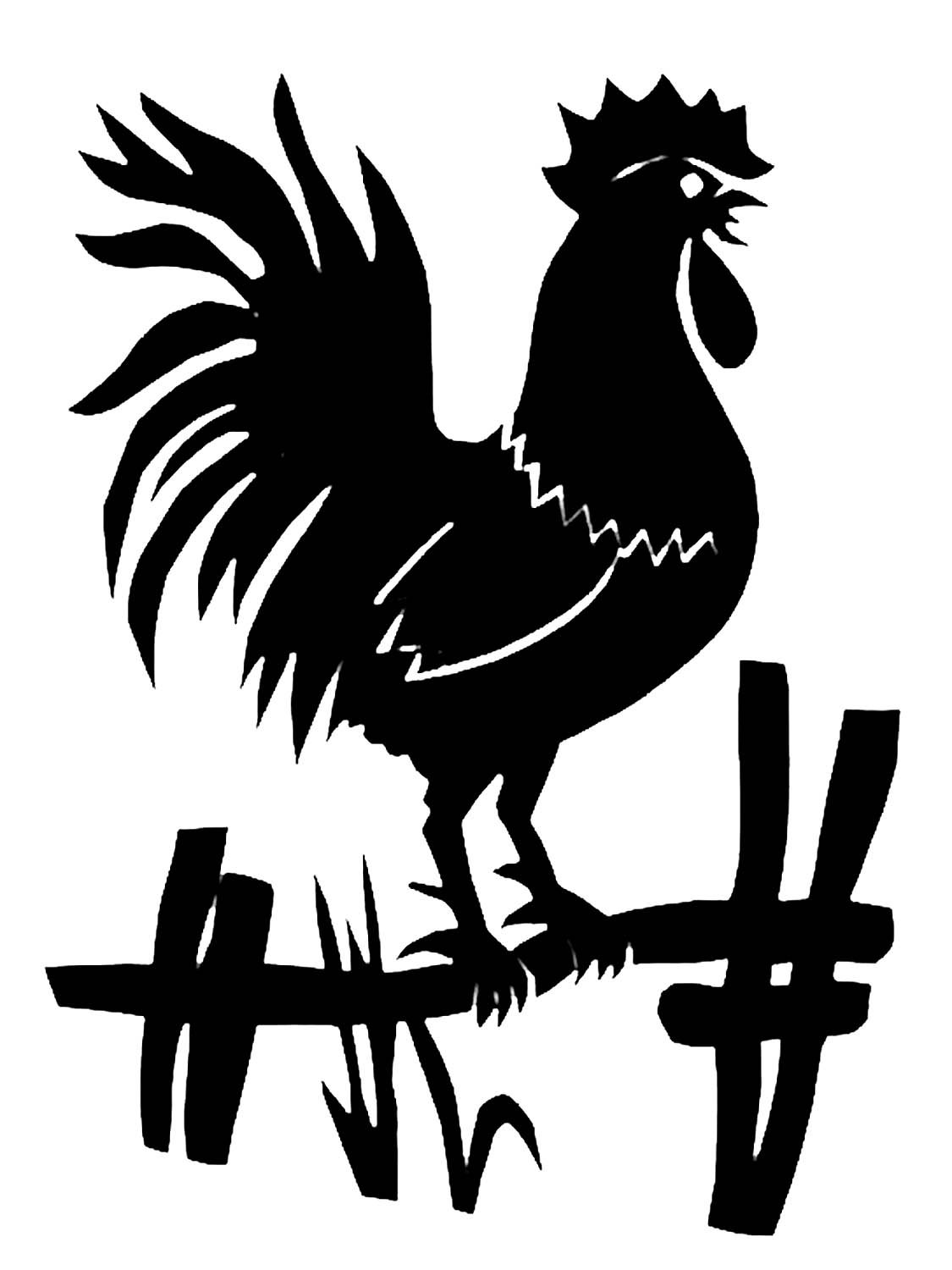 Домашние птицы. Раскраска