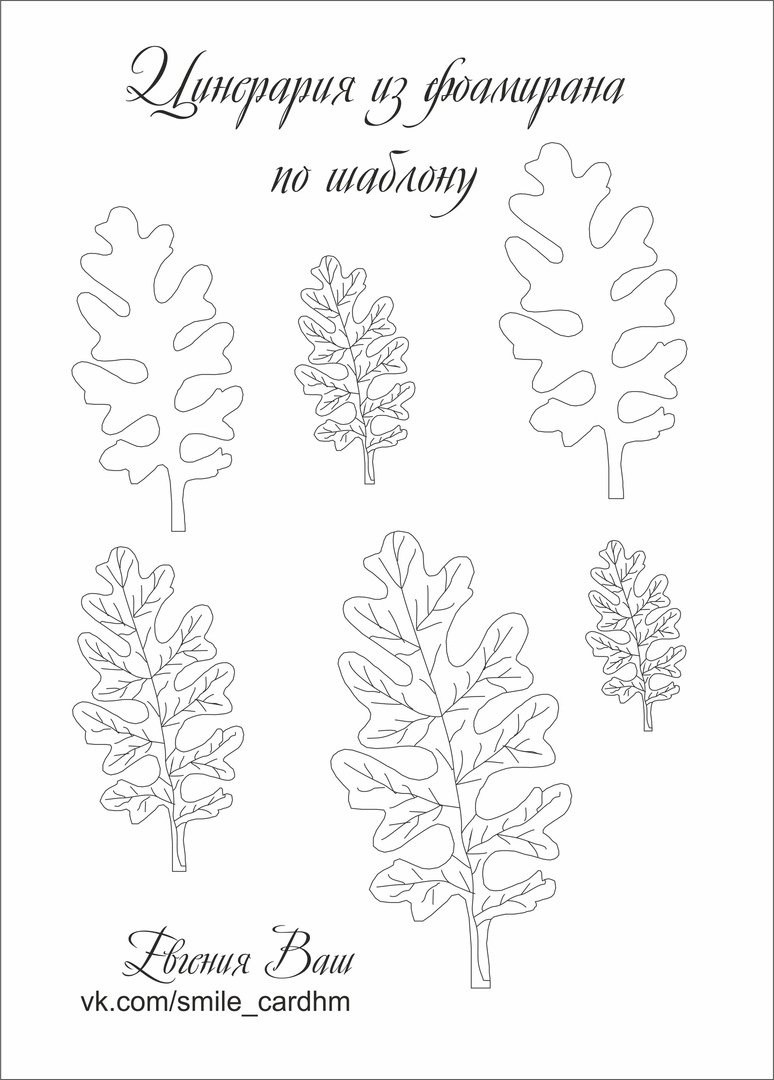 Шаблон бабочки