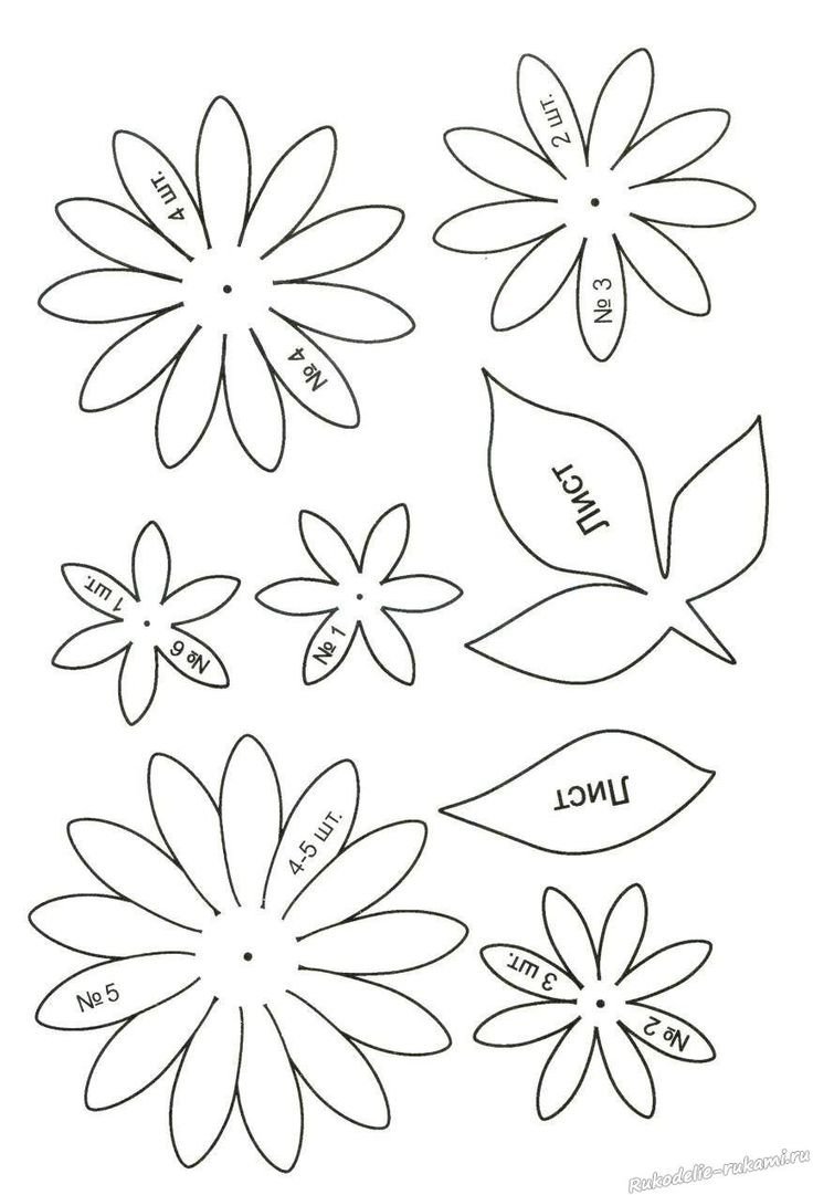 Цветы трафарет для вырезания