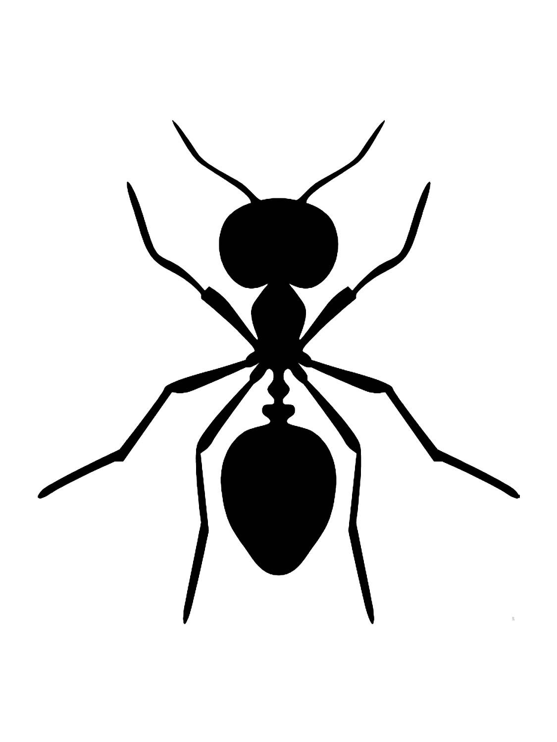 Силуэты насекомых