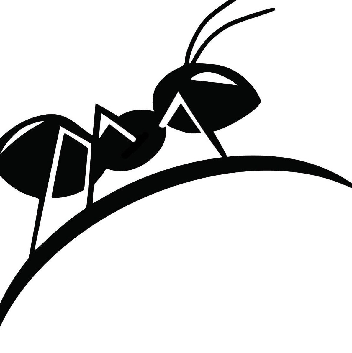 Тень муравья