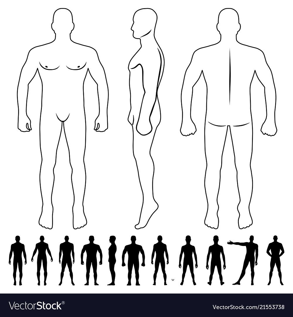 Схематичный рисунок человека