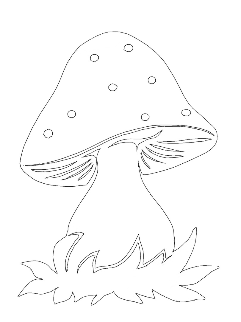 Грибы раскраска для детей