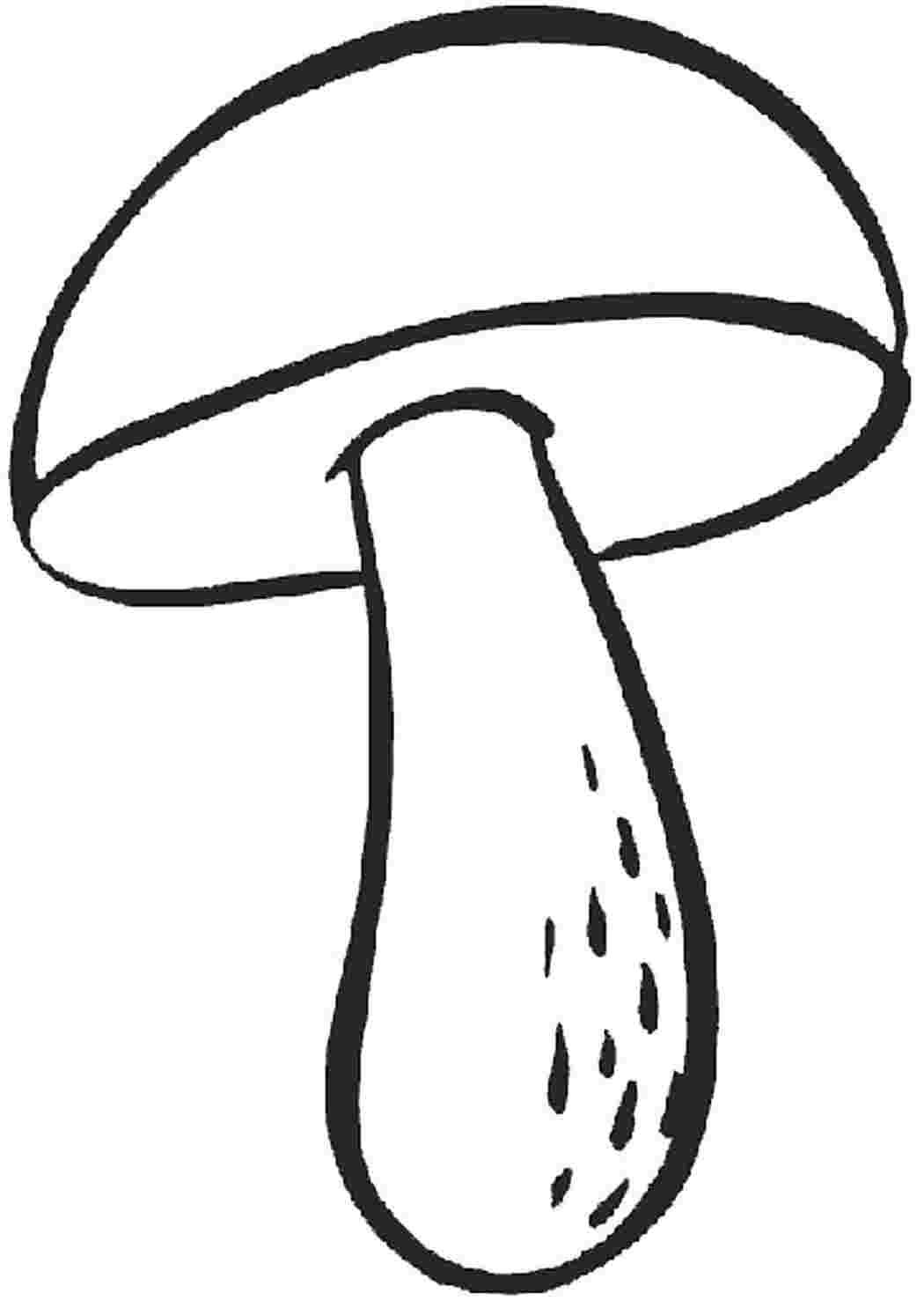 Гриб пиктограмма