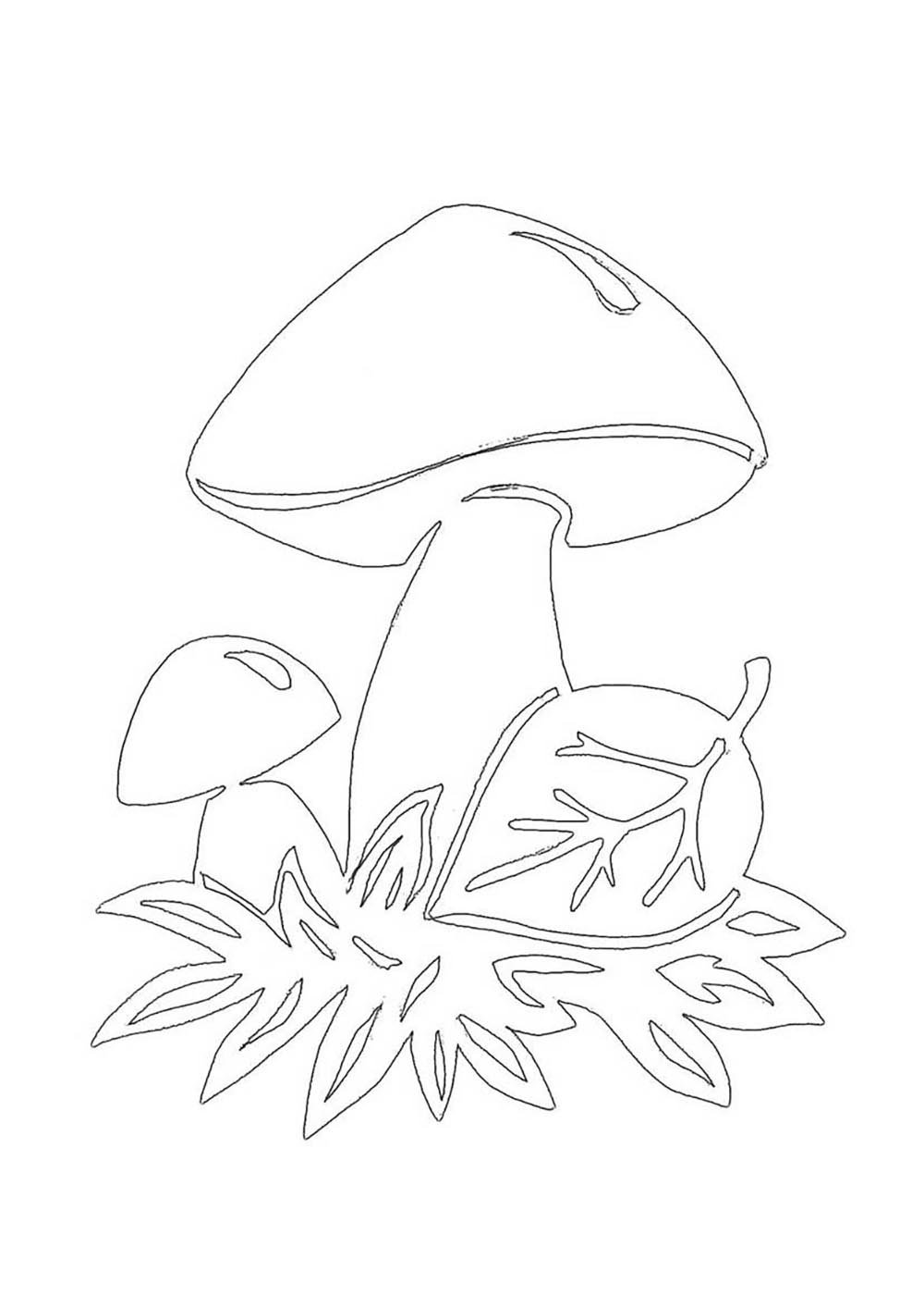 Гриб для обрывной аппликации