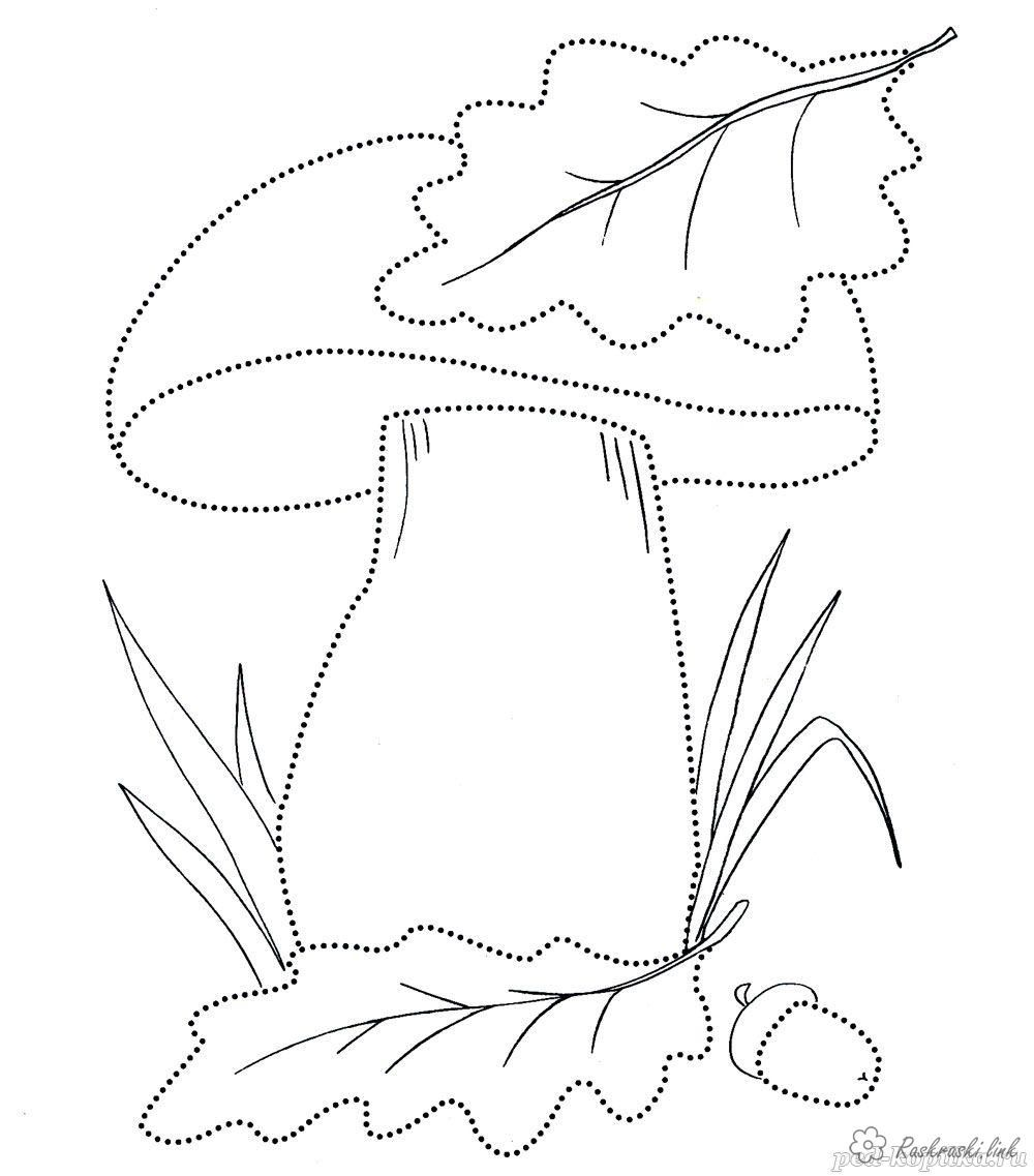 Мухомор раскраска