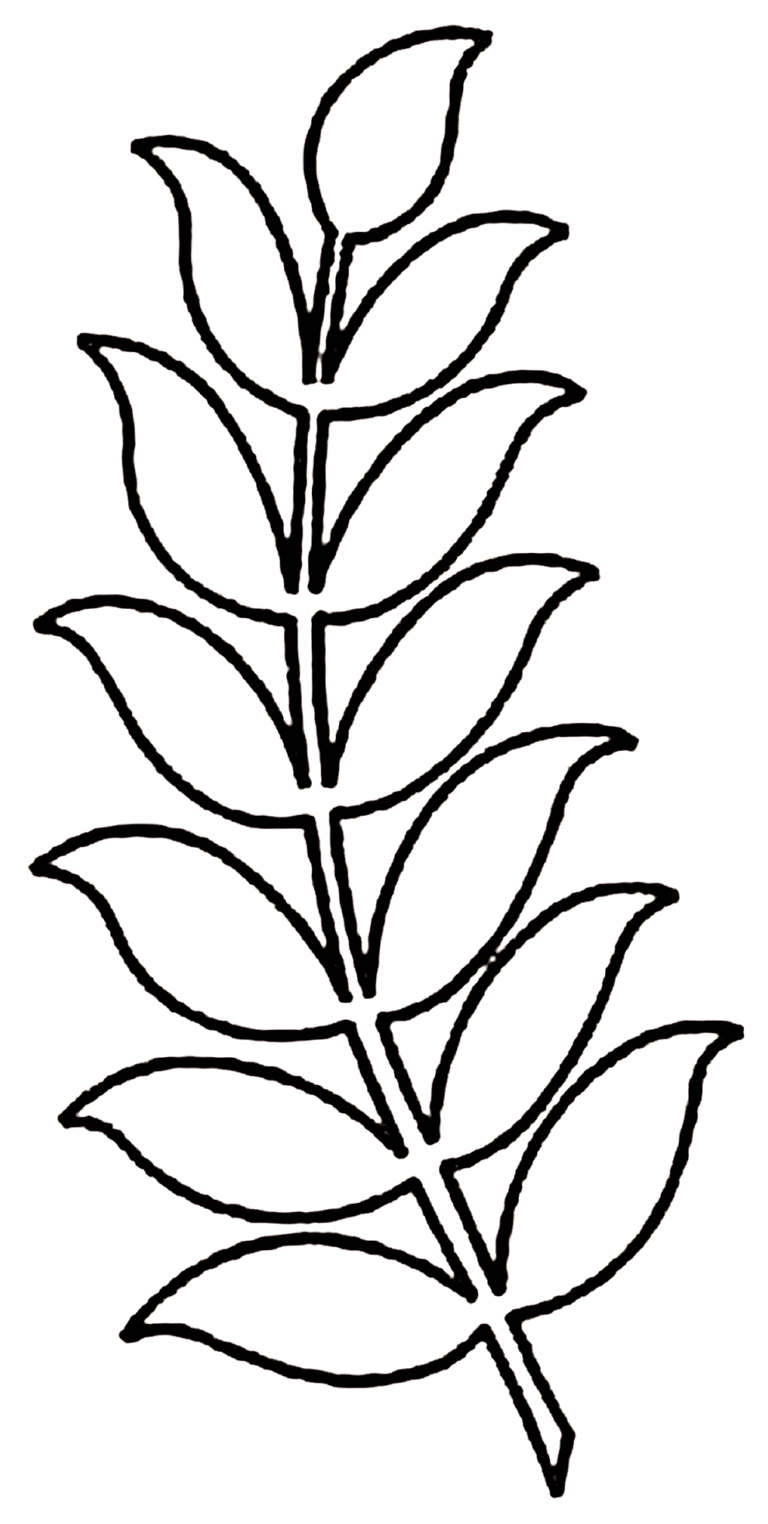 Трафарет веточки с листьями
