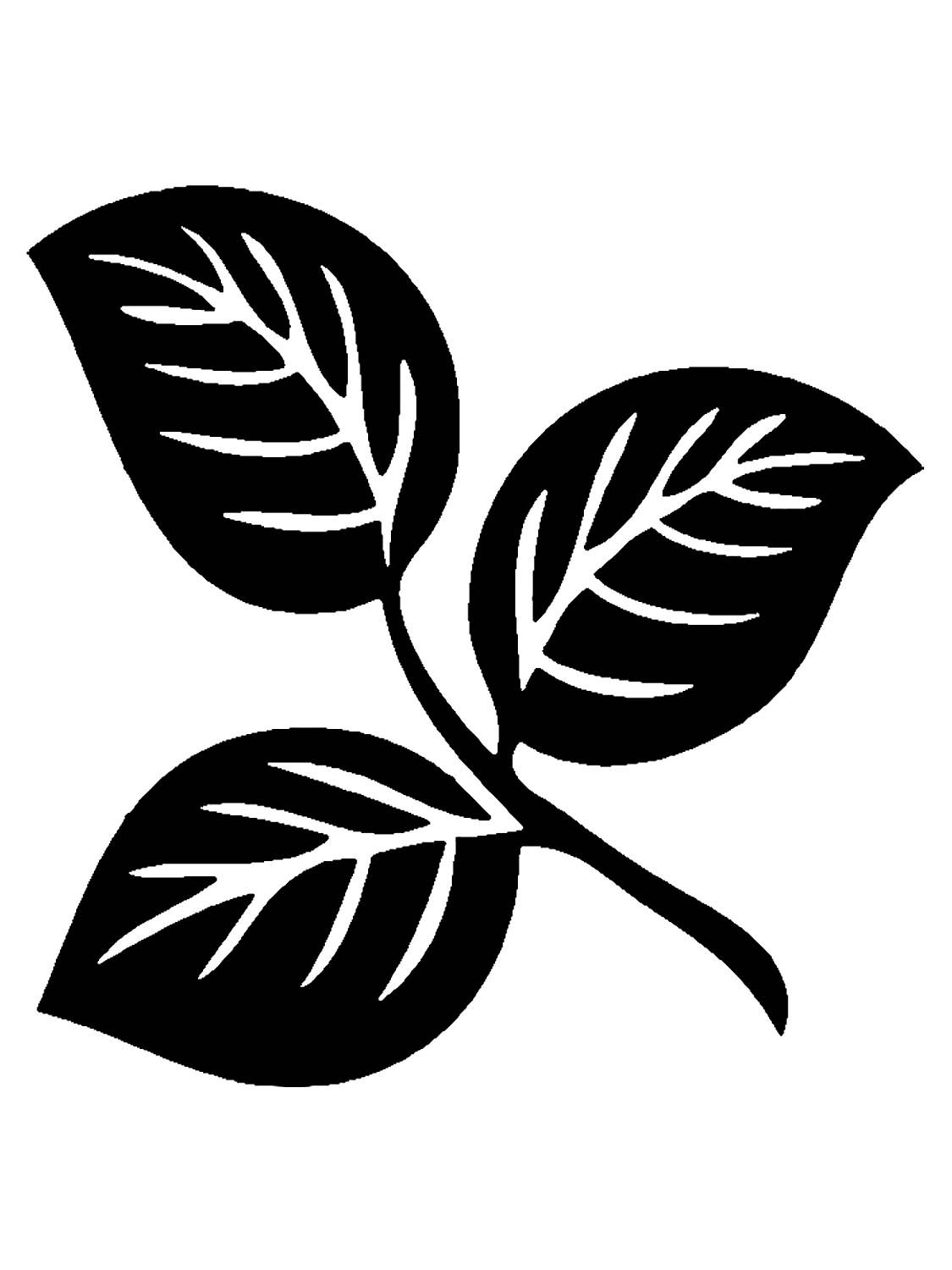 Трафарет ветка с листьями