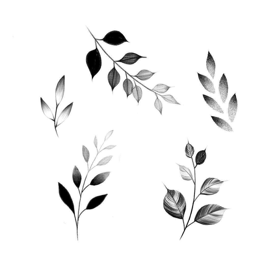 Веточка с листьями контур