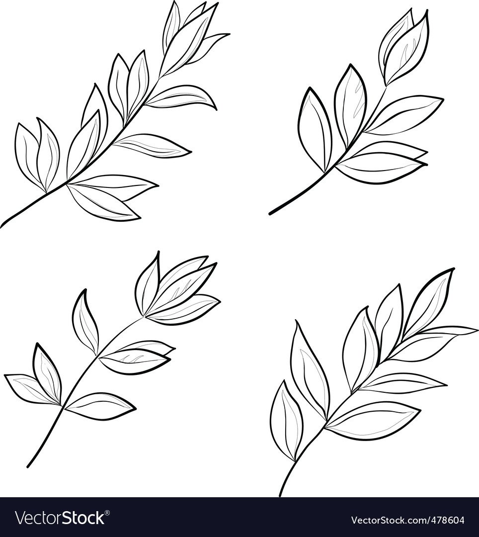 Ветвь с красивыми листьями силуэт