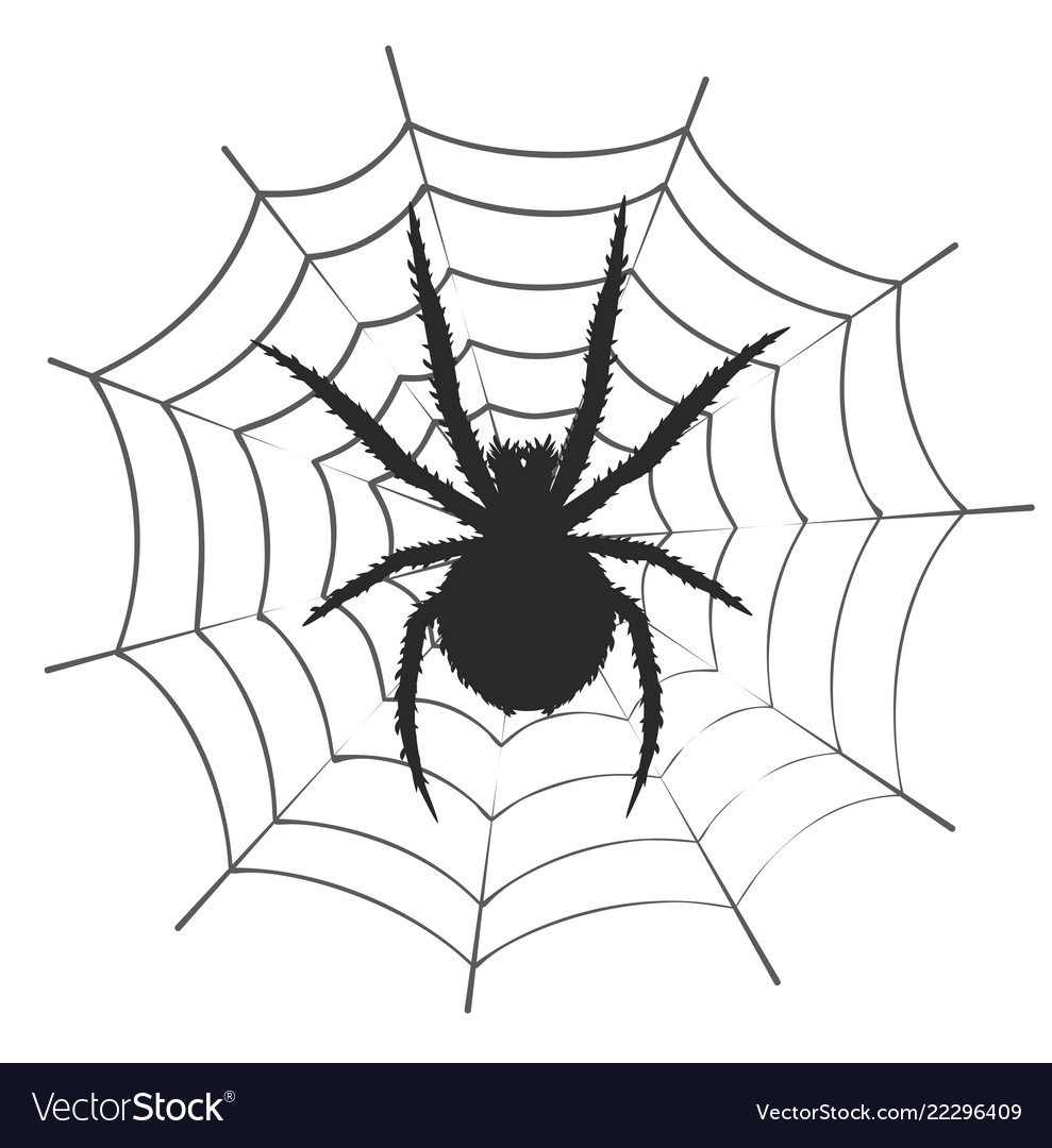 Паук на паутине силуэт