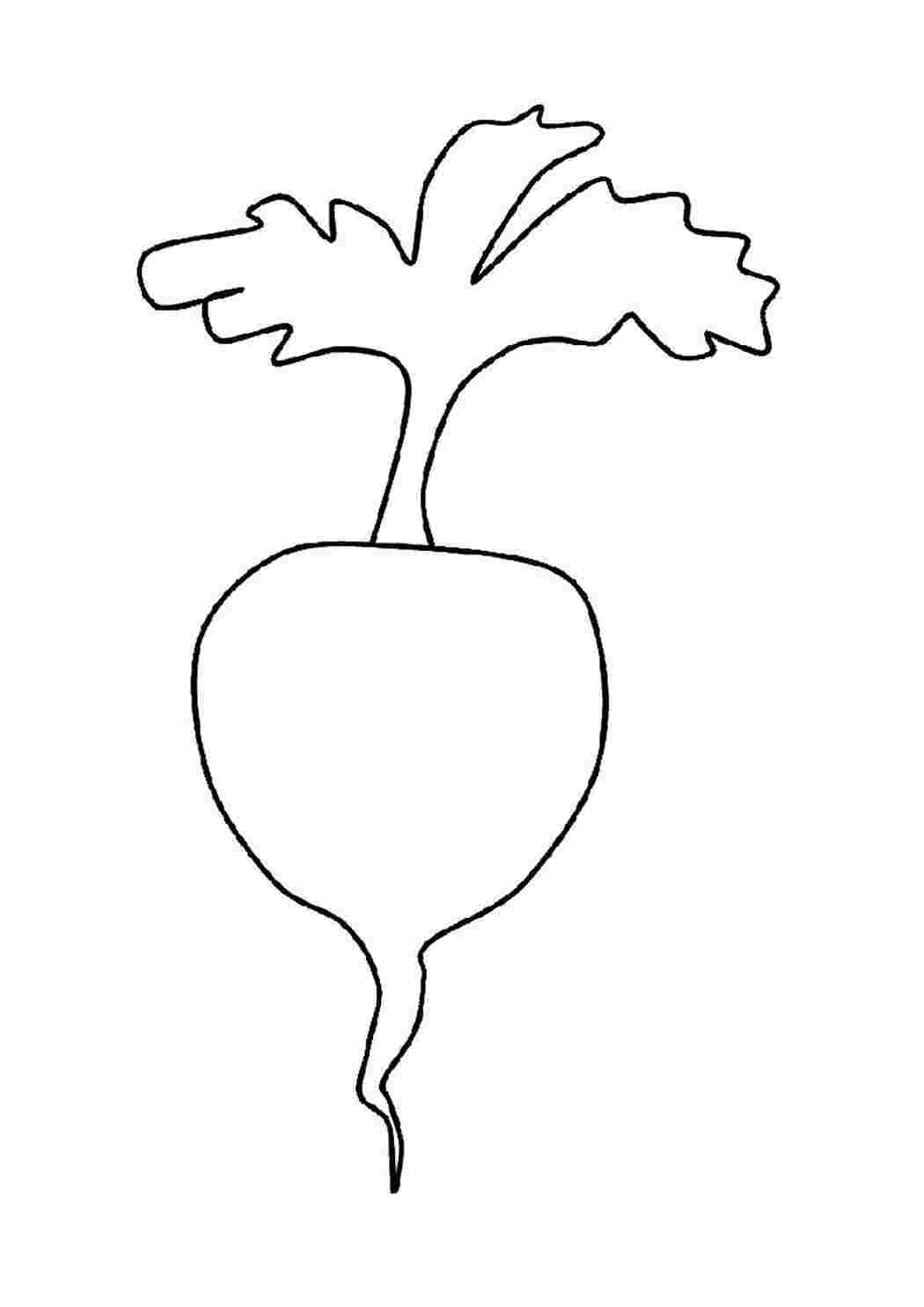 Раскраска. Репка