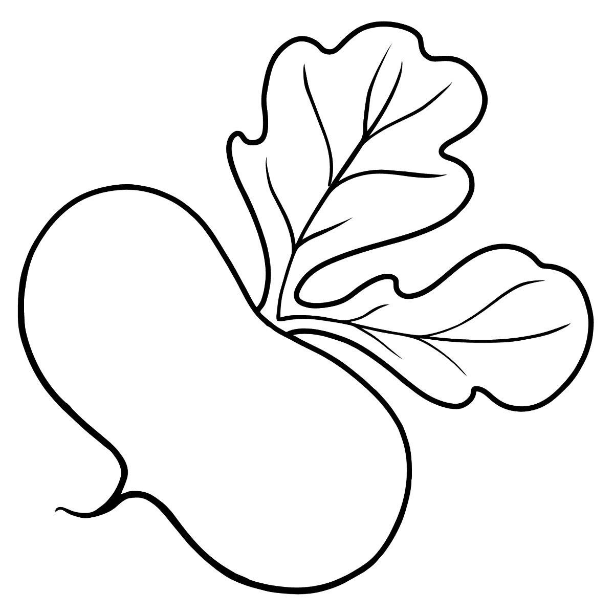 Репка раскраска для детей