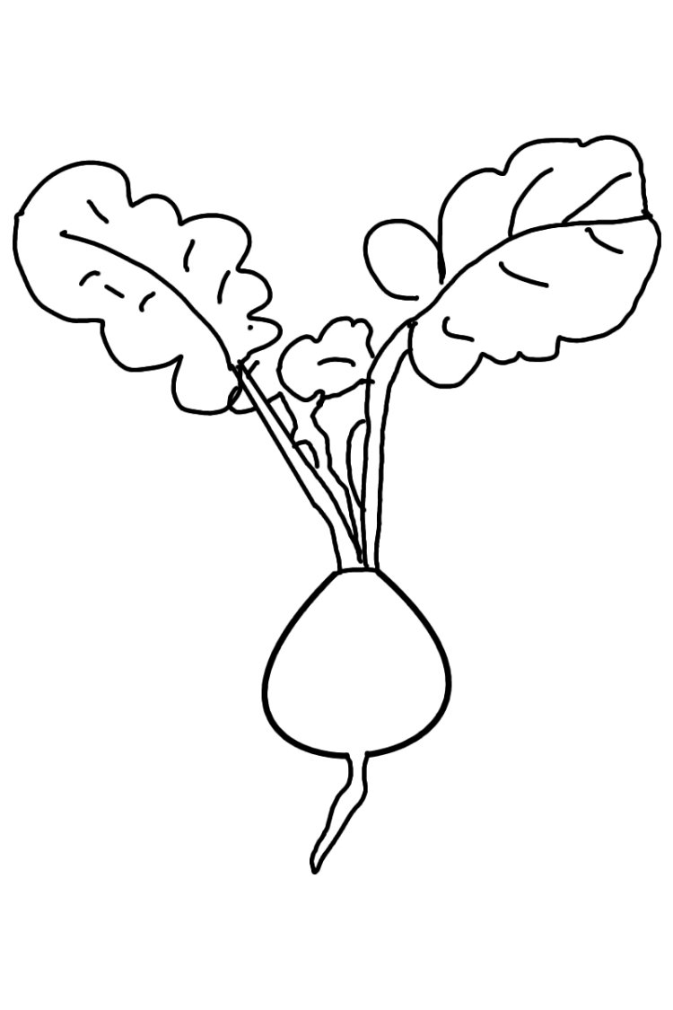 Свекла раскраска для детей
