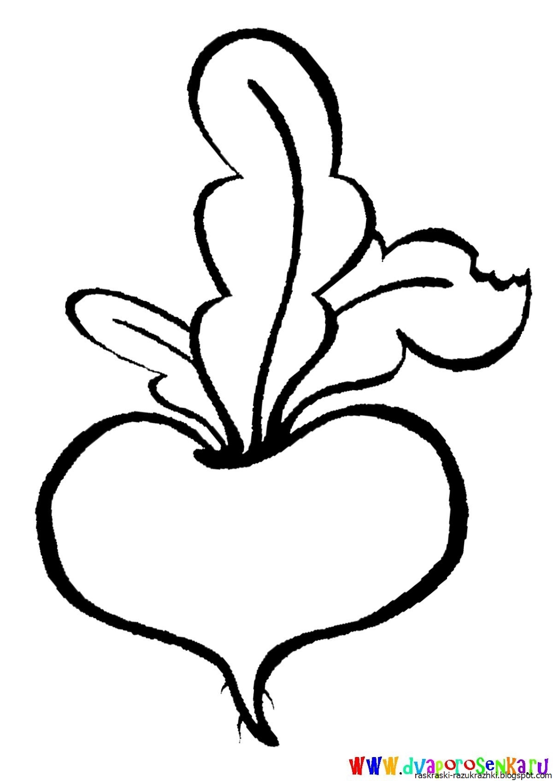 Свекла раскраска