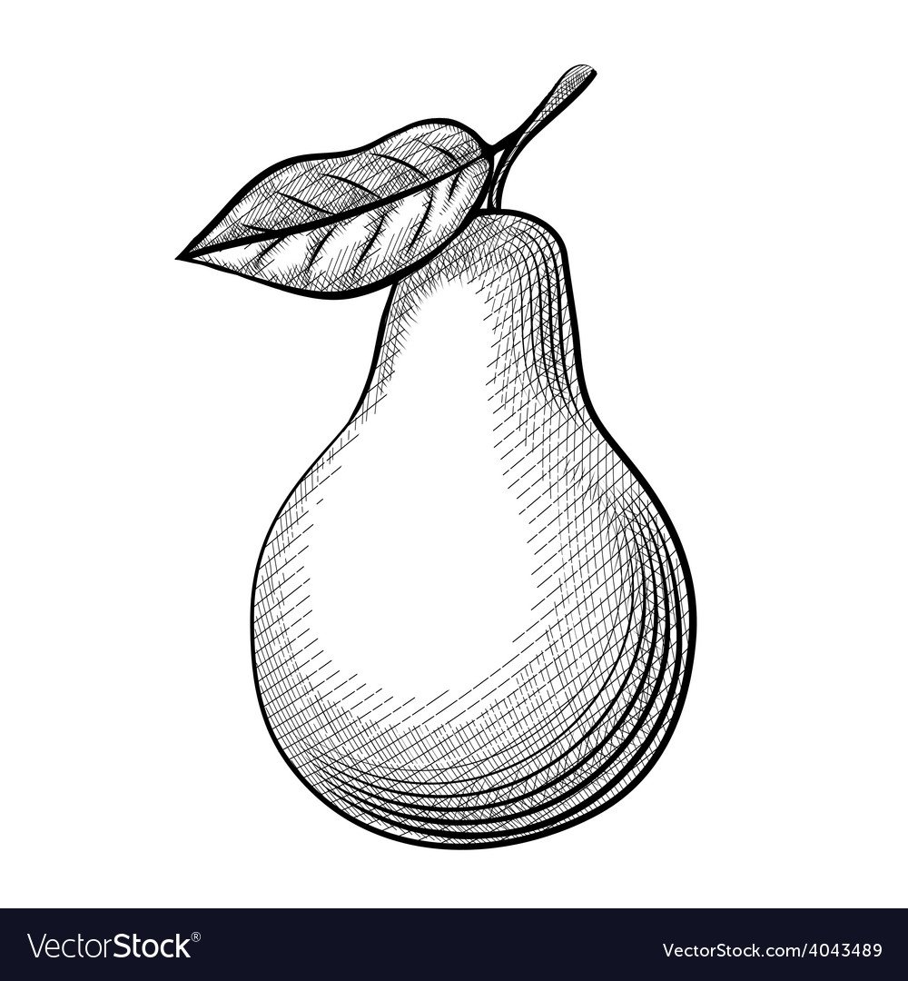 Груша раскраска