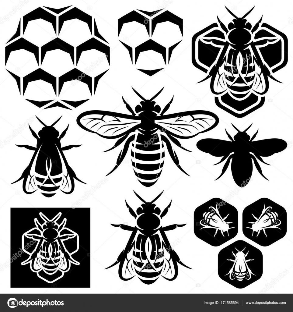 Трафарет пчелы для вырезания