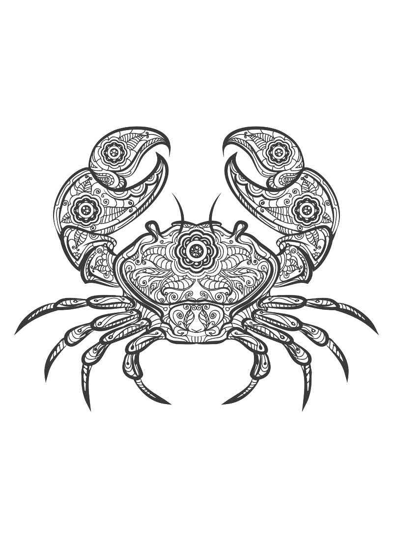 Краб раскраска для детей