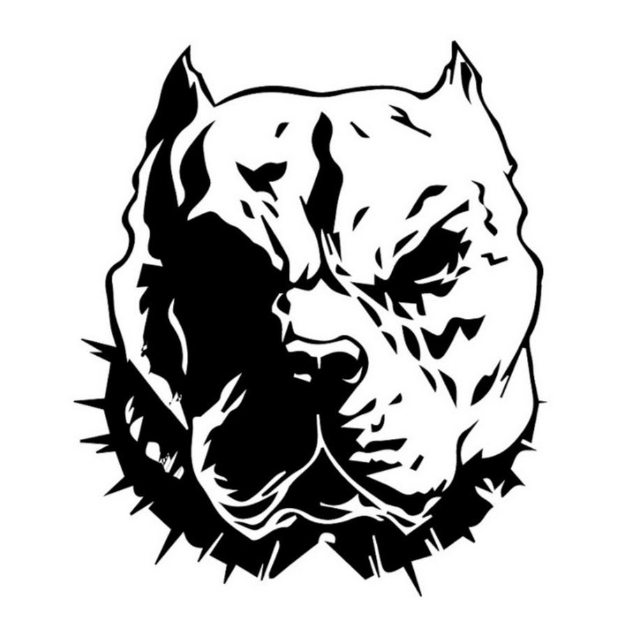 Питбуль злой