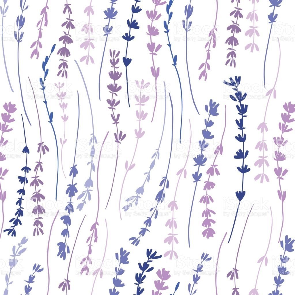 Ветка лаванды