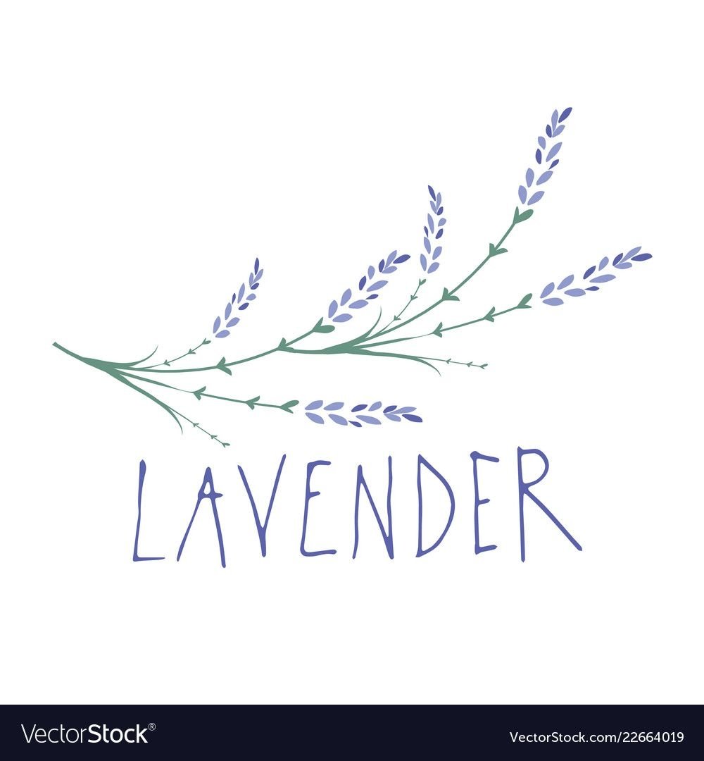 Стилизованная Лаванда