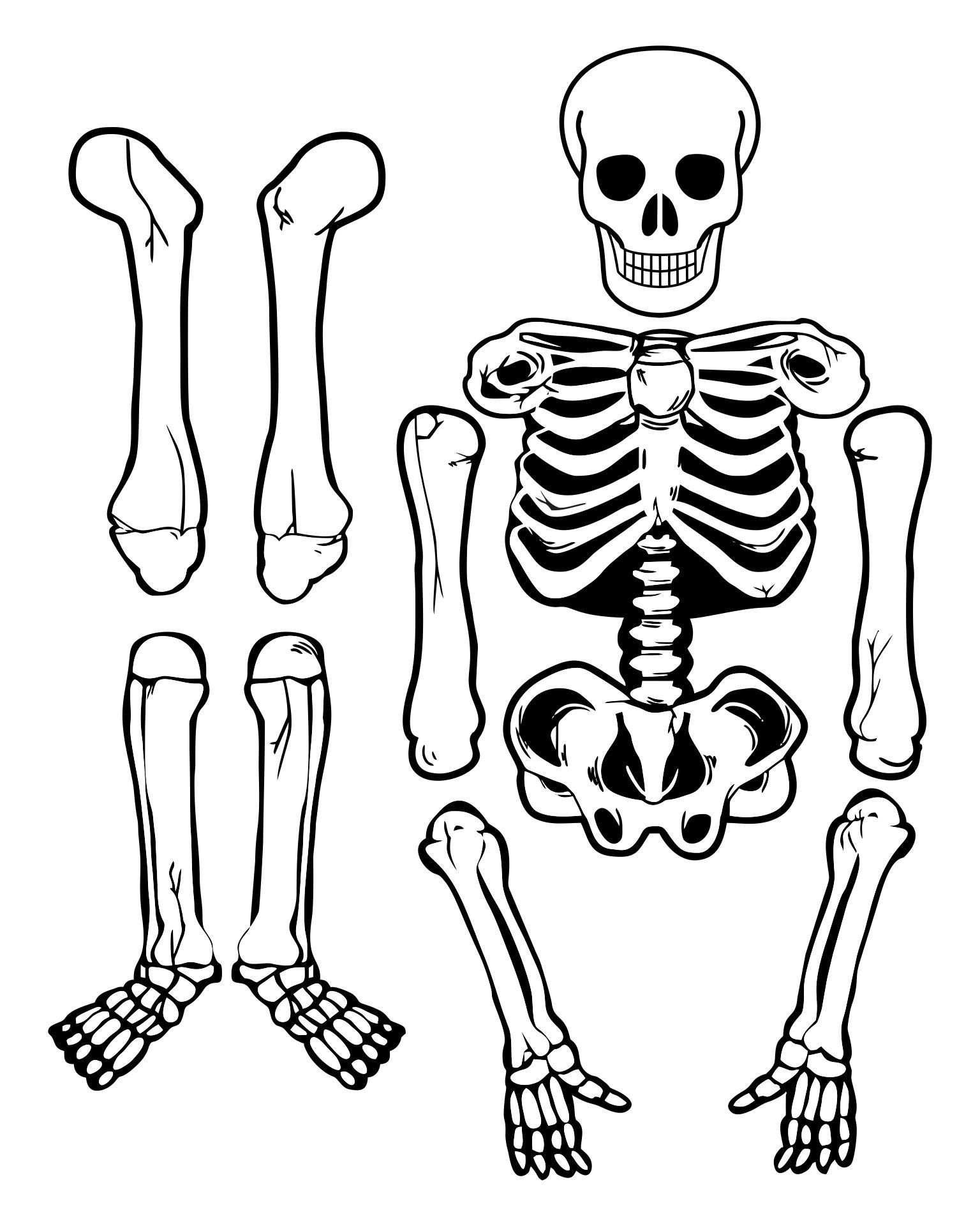 Напечатанные кости. Кости Кощея Бессмертного. Скелет кости Кощея вырезать на костюм. Кости скелета для Кощея Бессмертного.