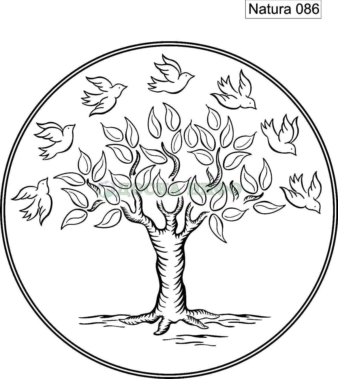 Дерево в круге раскраска