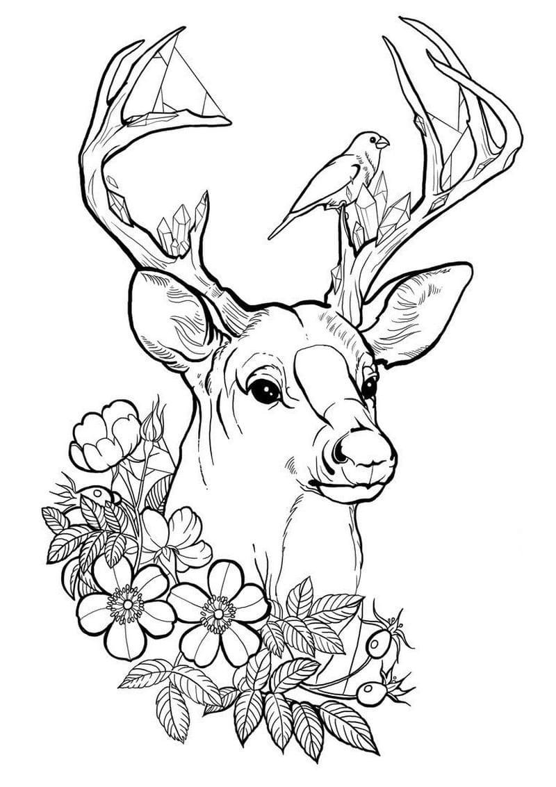 Эскизы для выжигания по дереву животные