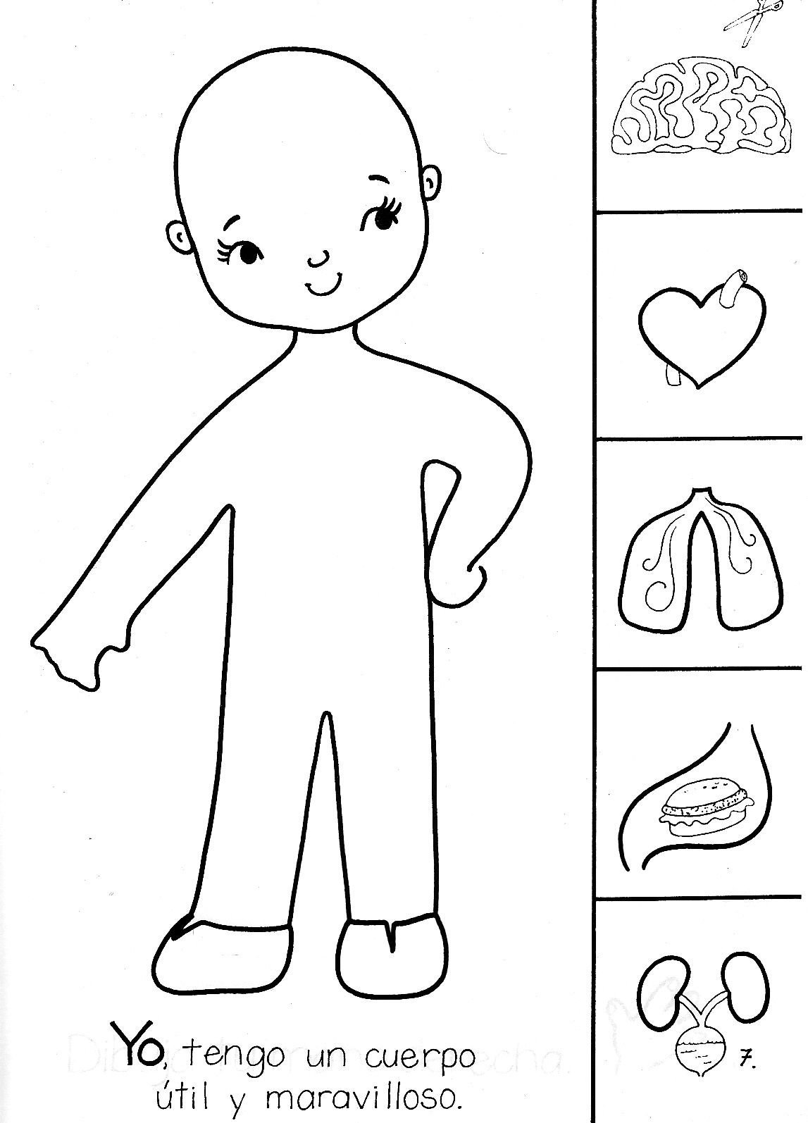 Контур женской фигуры