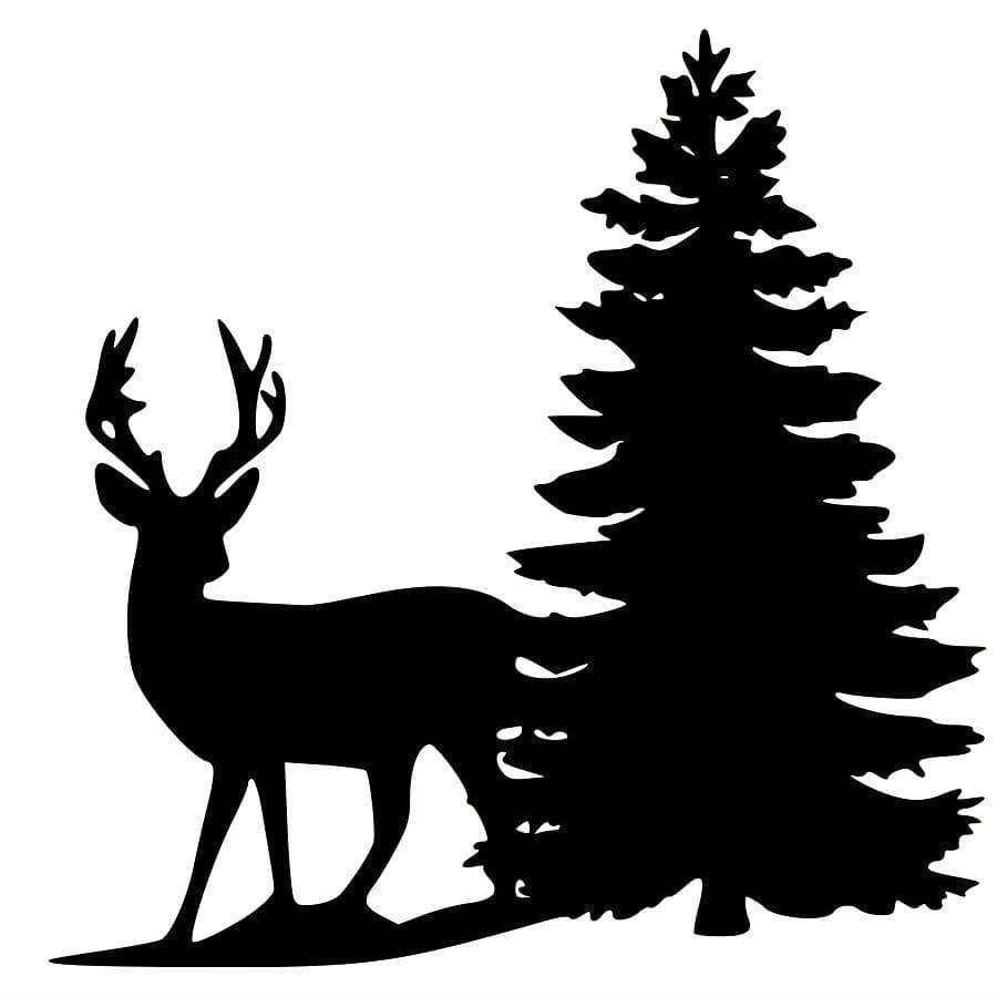 Силуэты природы