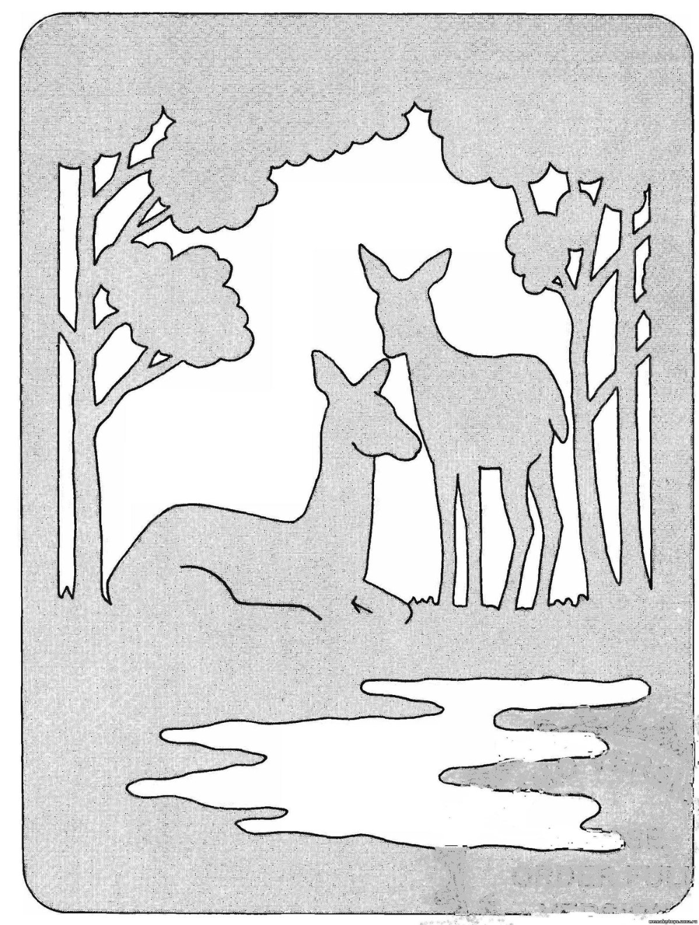 Тропические листья