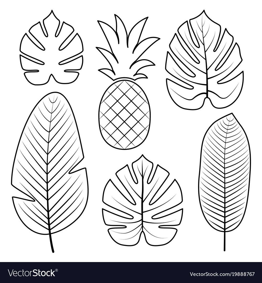 Листья тропические трафарет для вырезания