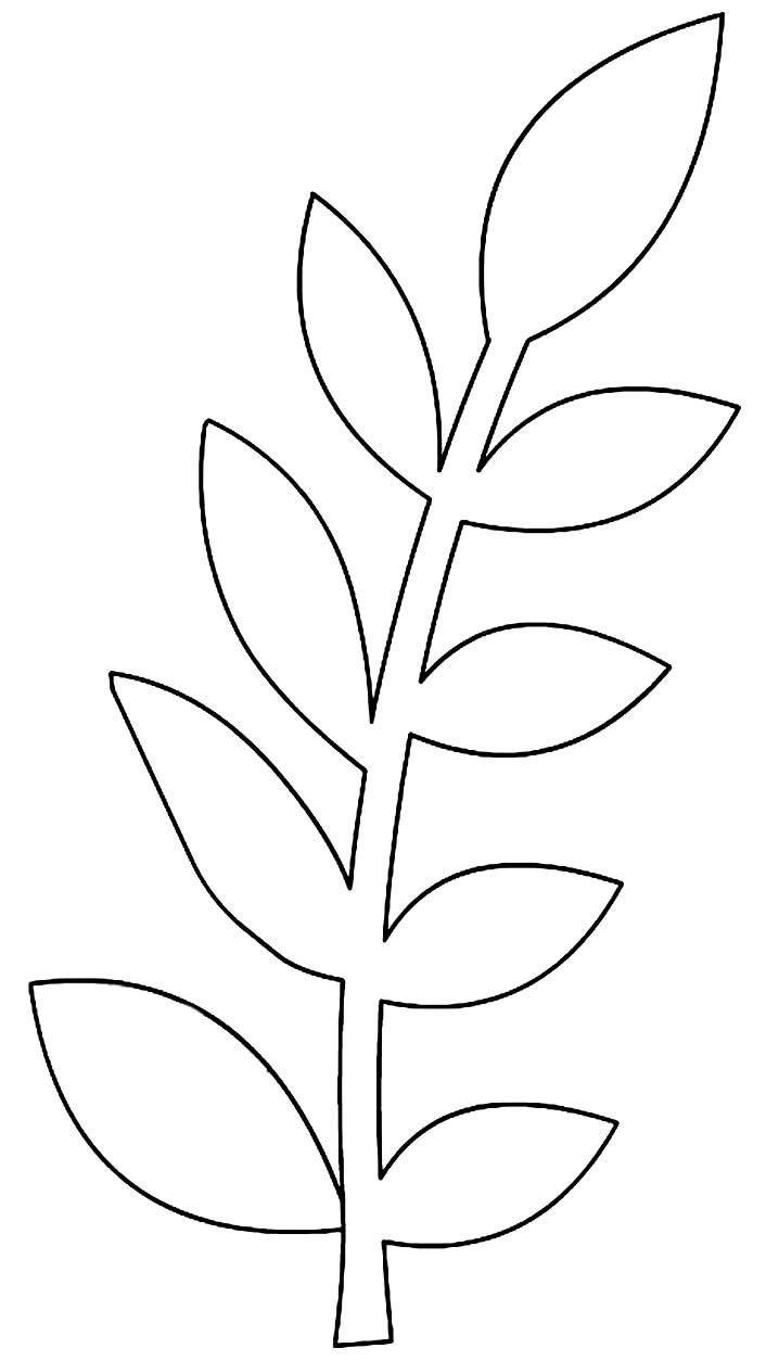 Трафарет для посадки семян