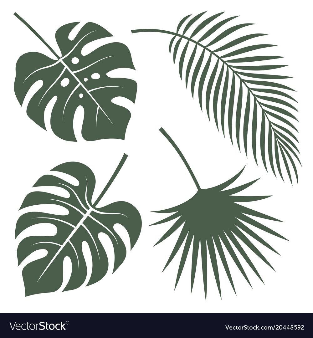 Тропические листья трафареты для стен
